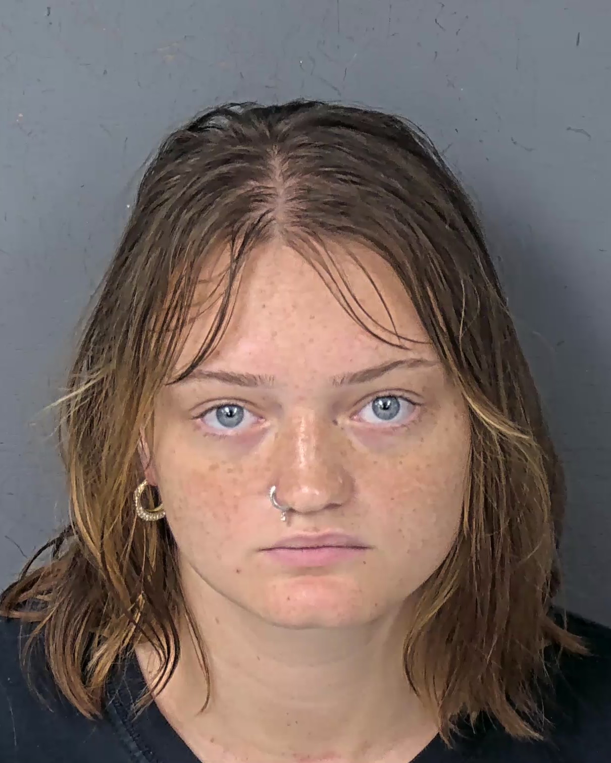 Booking photo listed by HCSO