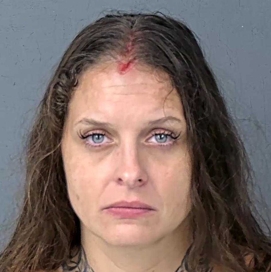 Booking photo listed by HCSO