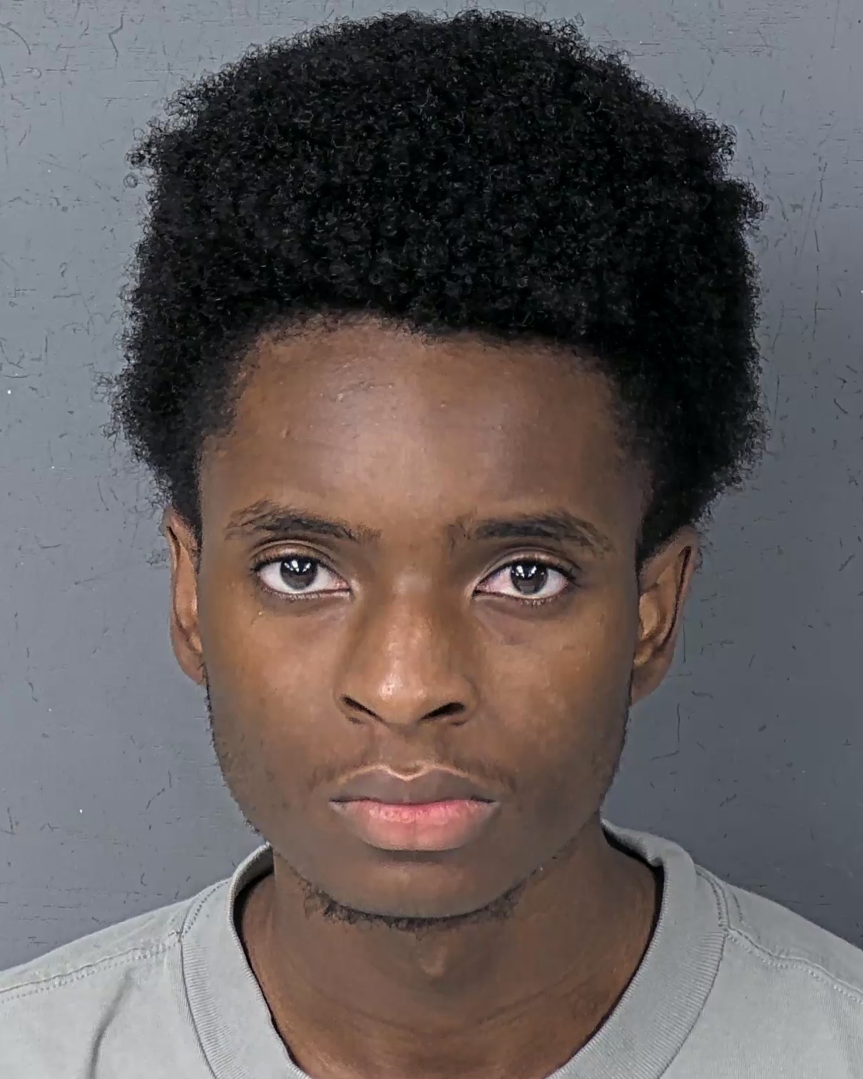 Booking photo listed by HCSO
